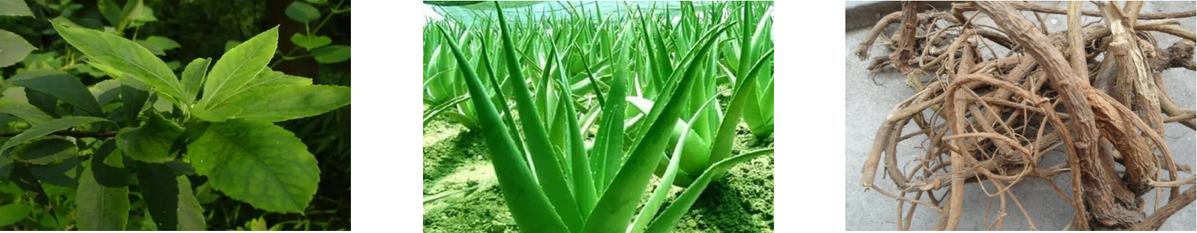 KU酷游官网-不凡成就非凡,相信品牌力量